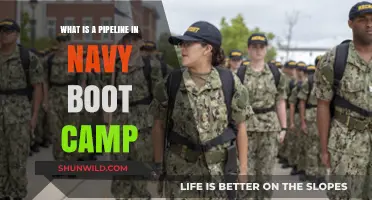 Understanding the Pipeline: Navy Boot Camp's Rigorous Training Process