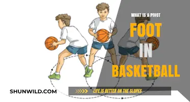 Pivot Foot in Basketball: Understanding the Basics