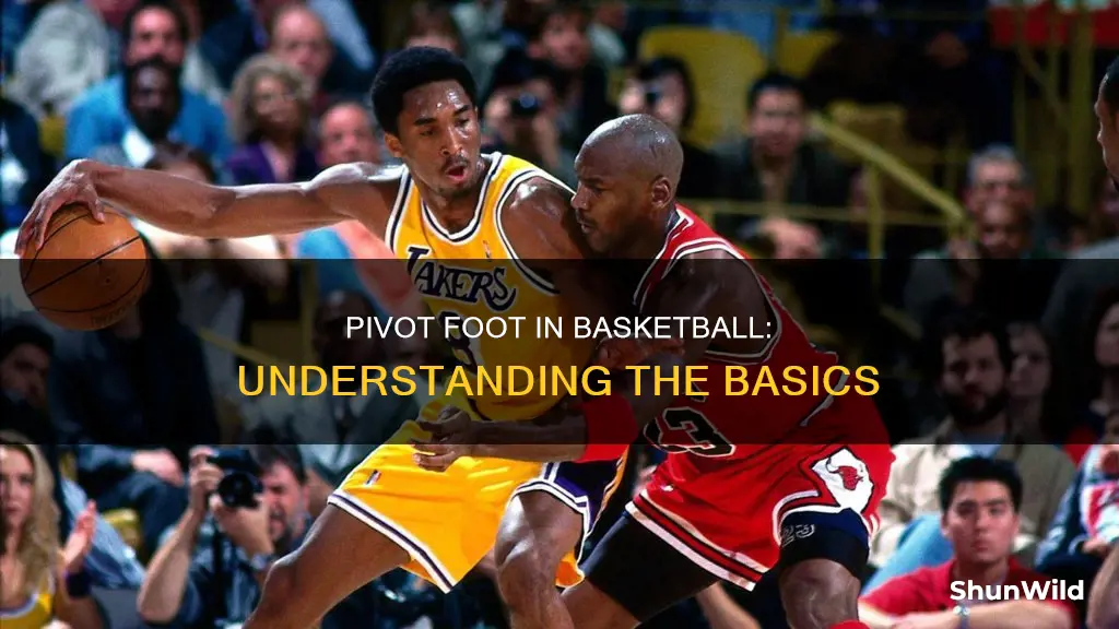 what is a pivot foot in basketball