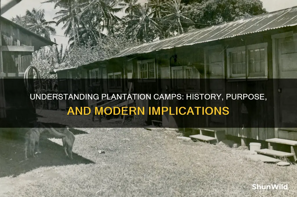 what is a plantation camp