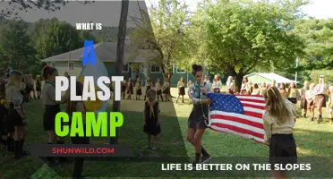 Understanding Plast Camp: A Unique Ukrainian Youth Movement Explained