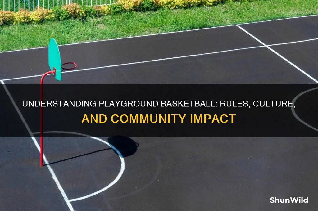 what is a playground basketball