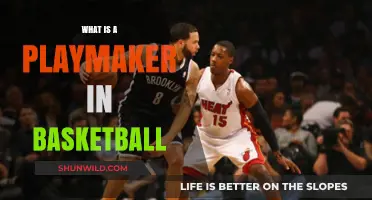 Understanding the Playmaker: Basketball's On-Court Strategist and Visionary