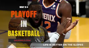 Understanding Basketball Playoffs: How Do They Work?