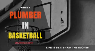 Understanding the Role of a Plumber in Basketball Strategy and Gameplay