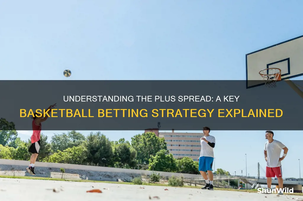 what is a plus spread in basketball