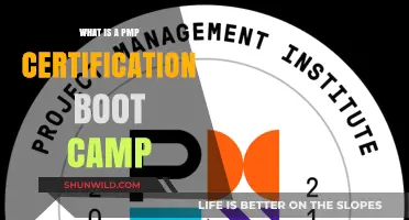 PMP Certification Boot Camp: Accelerate Your Project Management Career