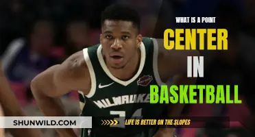 Understanding Point Guards: The Key to Basketball Success