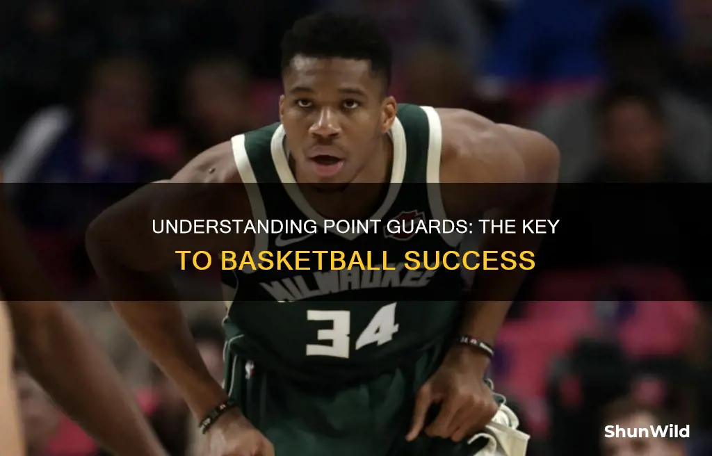 what is a point center in basketball