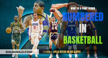 The Point Guard Position: Understanding Numbering in Basketball