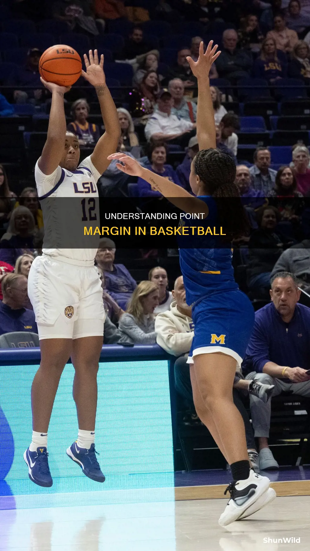 what is a point margin in basketball