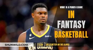 Fantasy Basketball Points League: How Does It Work?