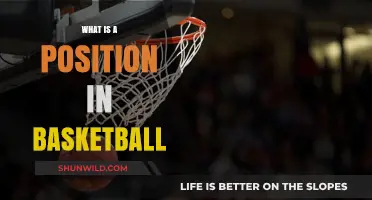 Understanding Basketball Positions: Roles, Responsibilities, and Team Dynamics