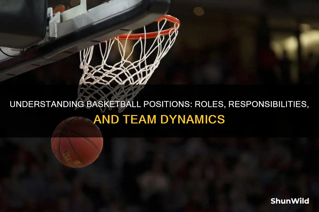 what is a position in basketball