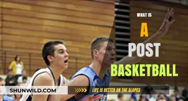 Understanding Post Basketball: Techniques, Roles, and Game Impact Explained