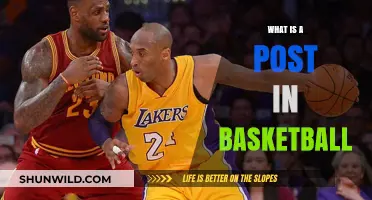 The Basketball Post: A Beginner's Guide