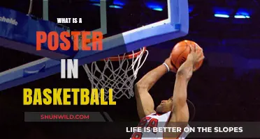 The Art of Basketball Postering