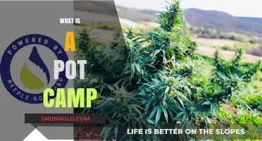 Understanding Pot Camp: A Comprehensive Guide to Cannabis Retreats