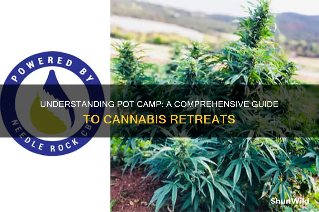 what is a pot camp