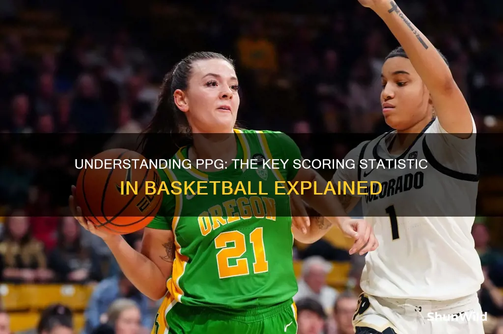 what is a ppg in basketball