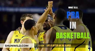 Understanding the Role and Impact of a PRA in Basketball