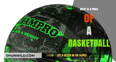 Understanding the Cost of a Basketball: Factors and Price Ranges