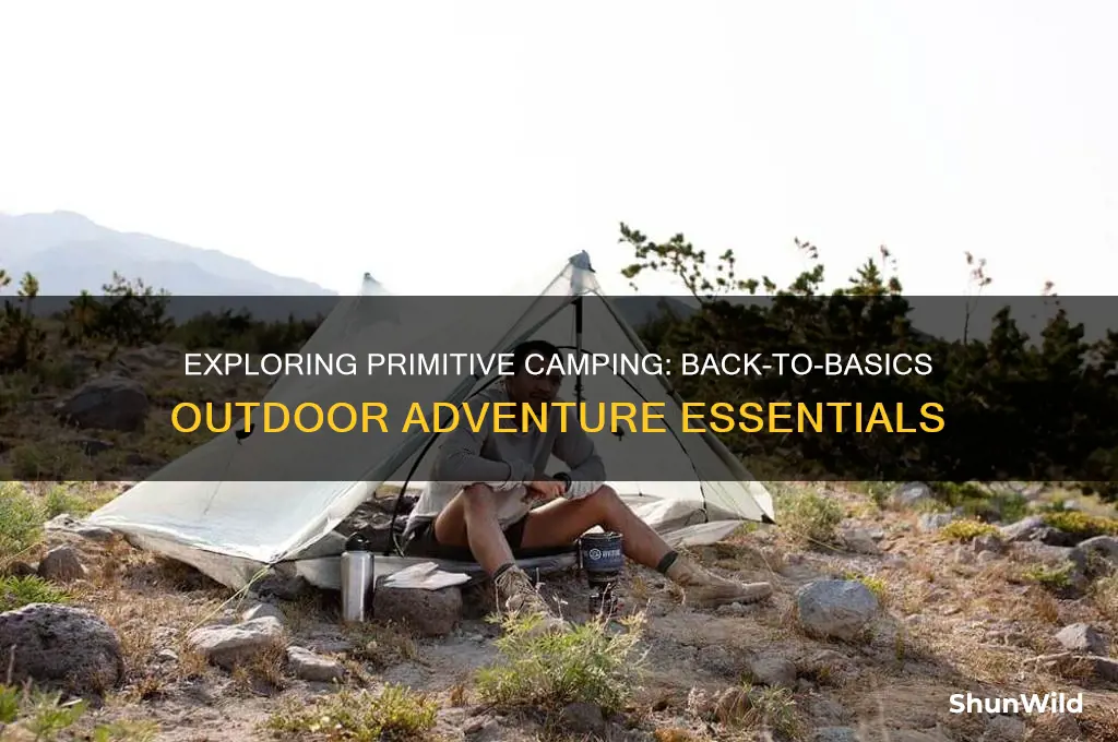 what is a primitive camp
