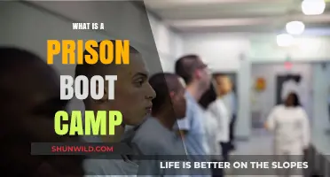 Understanding Prison Boot Camps: Purpose, Structure, and Effectiveness Explained