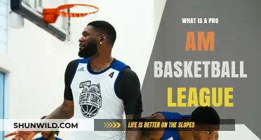 Exploring Pro-Am Basketball: Competitive Leagues for Aspiring Pros