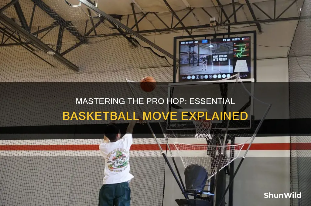 what is a pro hop in basketball