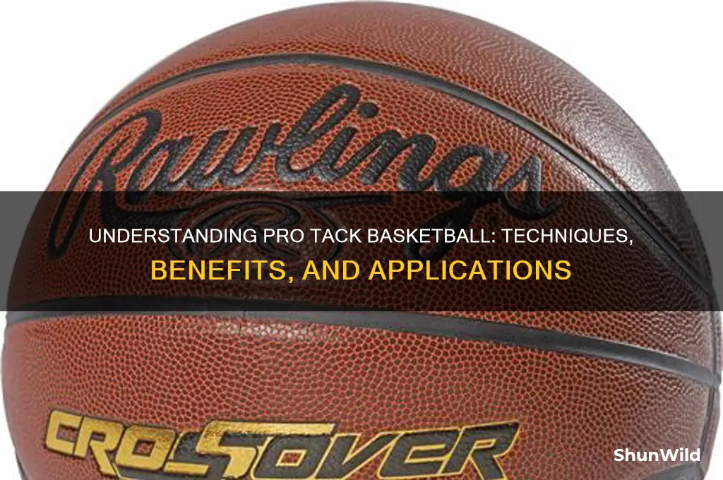what is a pro tack basketball