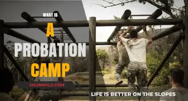 Understanding Probation Camps: Purpose, Structure, and Impact on Youth
