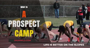 Understanding Prospect Camps: A Guide for Aspiring Athletes