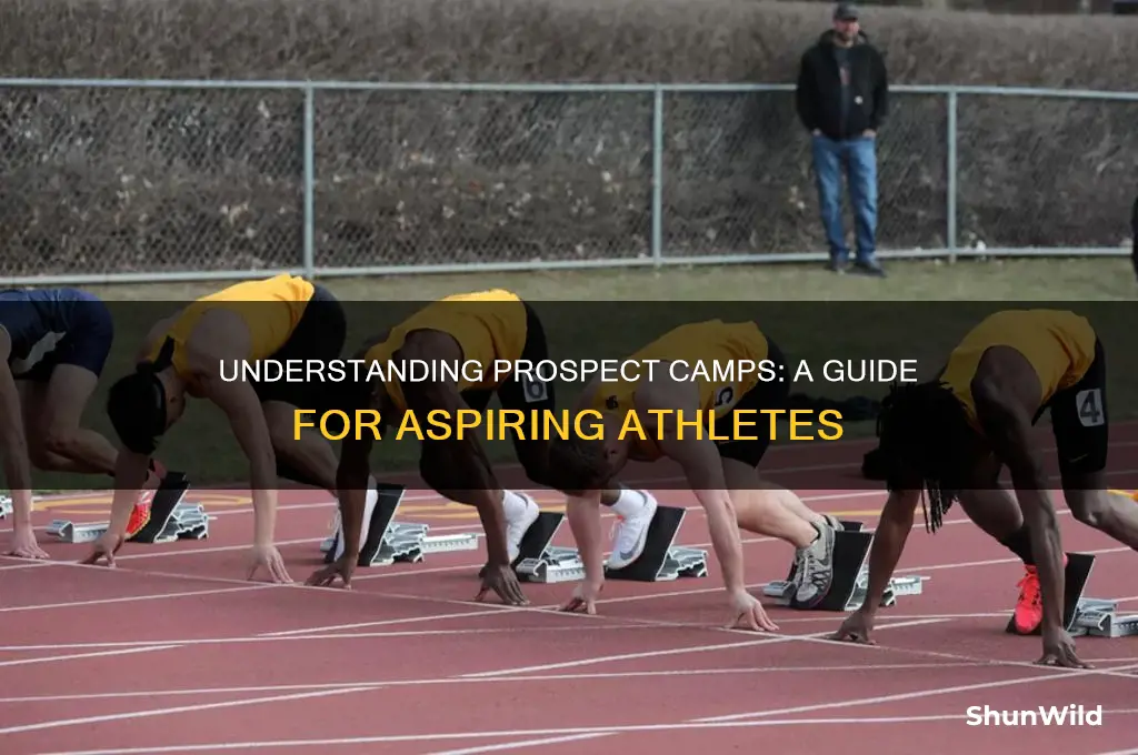what is a prospect camp