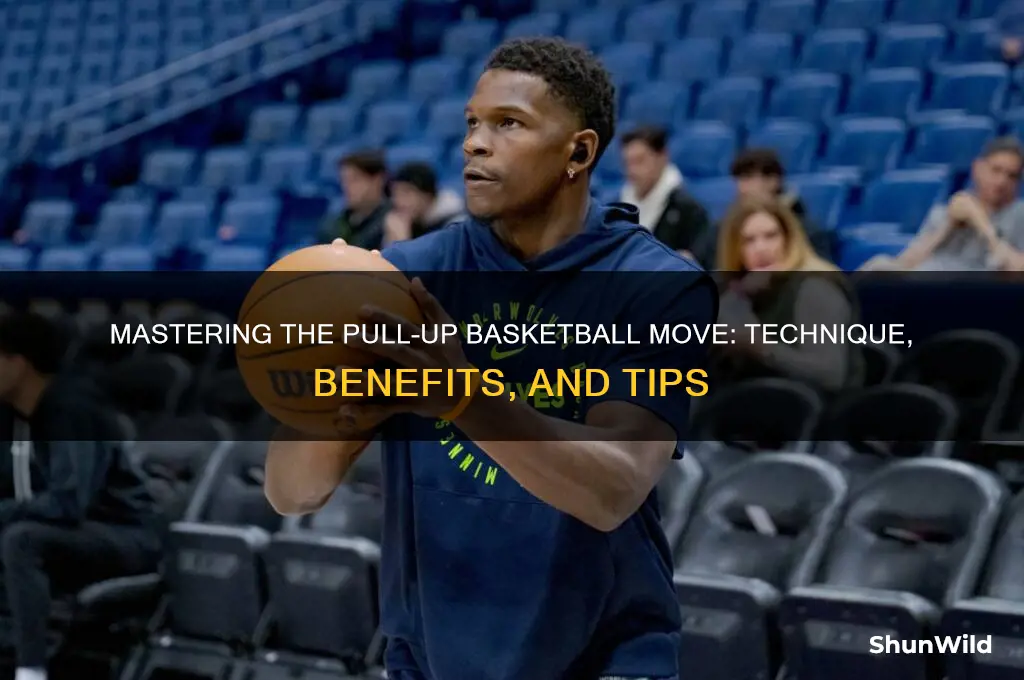what is a pull up basketball