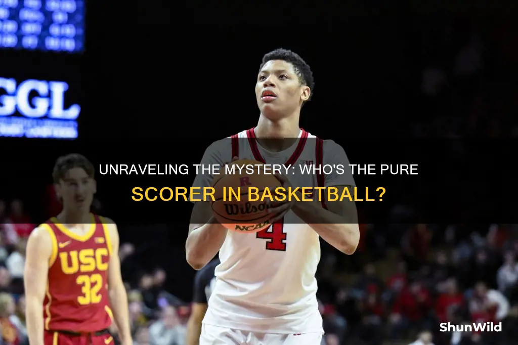 what is a pure scorer in basketball