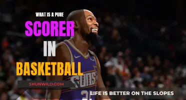 The Definition of a Pure Scorer in Basketball