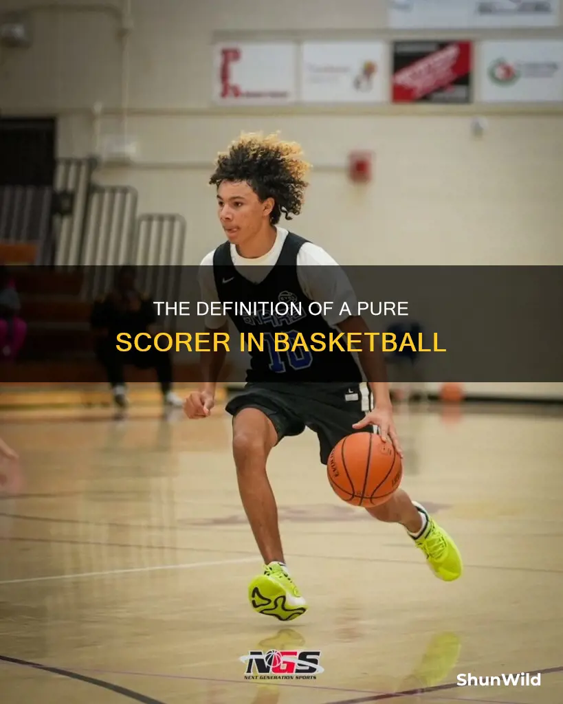 what is a pure scorer in basketball