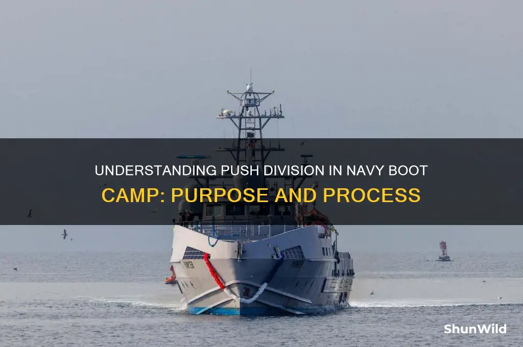 what is a push division in navy boot camp