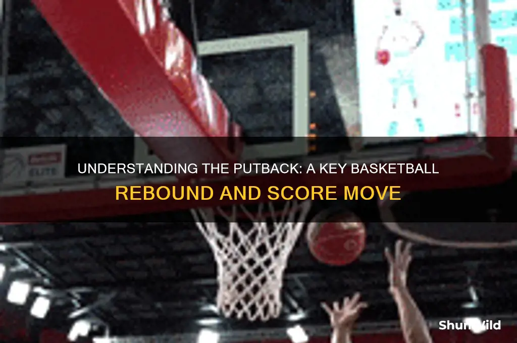 what is a putback in basketball