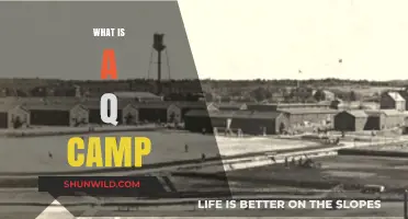 Understanding Q Camps: Origins, Purpose, and Impact Explained
