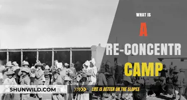 Understanding Re-Concentration Camps: Origins, Purpose, and Modern Implications