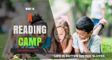 Unleash Your Child's Love for Books: Discover Reading Camps