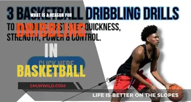 Why Dribbling in Basketball is Essential for Court Success