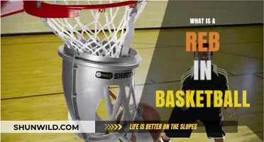 Understanding Rebounds: What is a Reb in Basketball?
