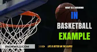 Understanding Rebounds in Basketball: Definition, Examples, and Importance