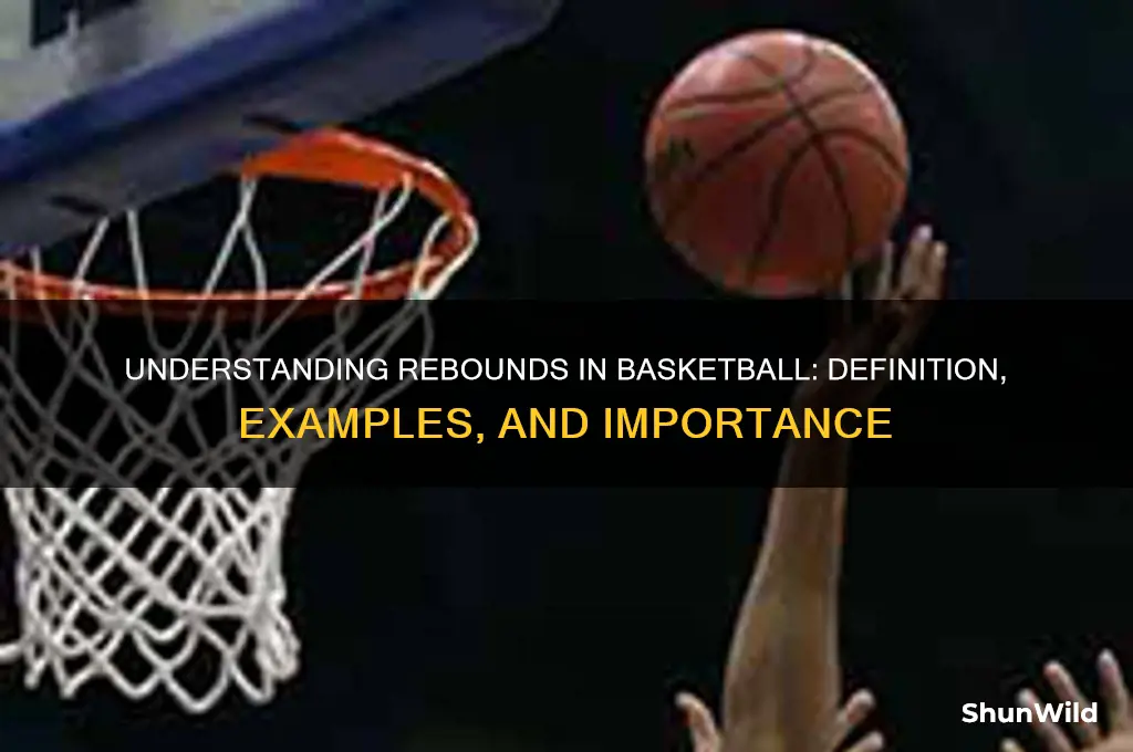 what is a rebound in basketball example