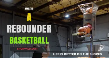 Understanding Rebounder Basketball: Benefits, Techniques, and Training Tips