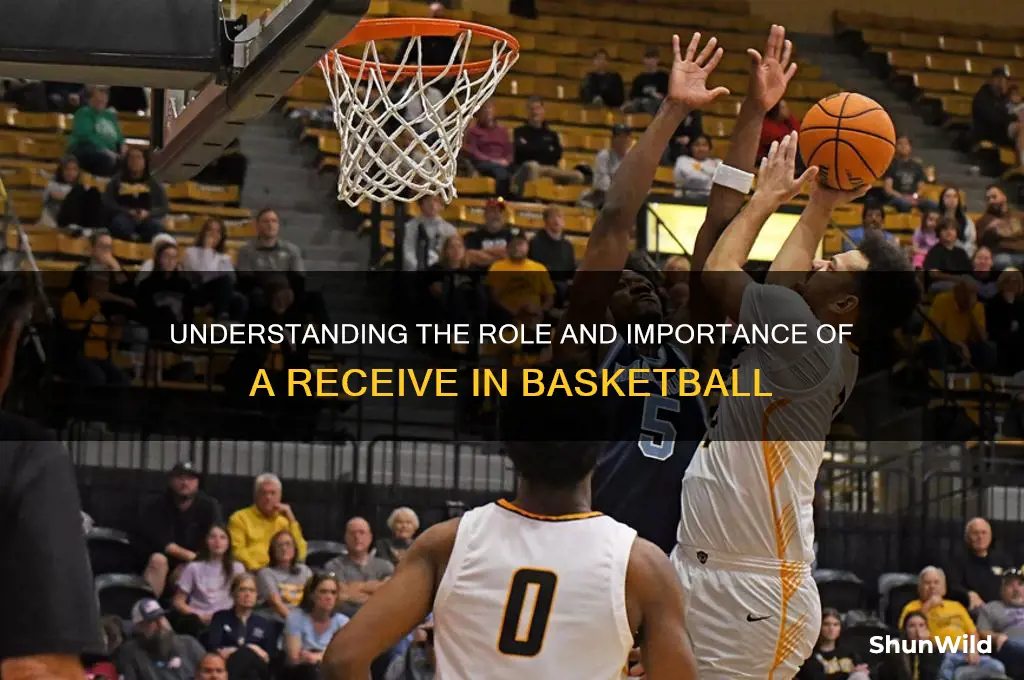 what is a receive in basketball