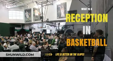 Understanding the Role and Impact of a Reception in Basketball